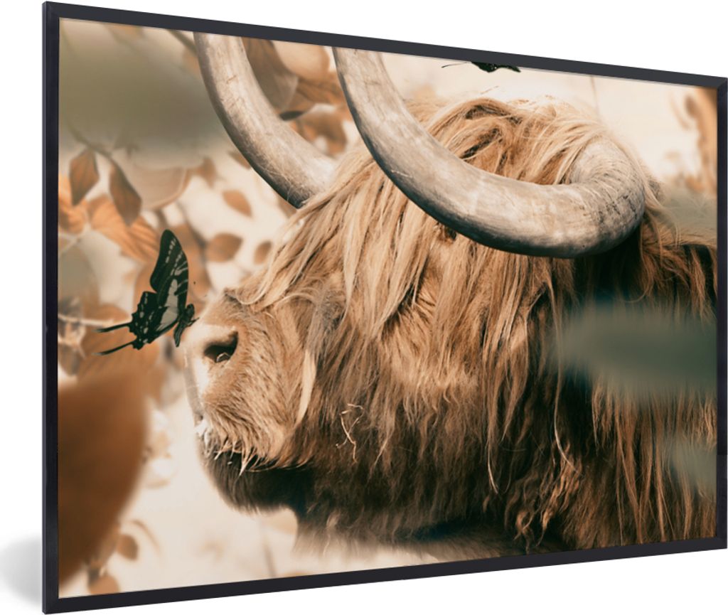 MuchoWow Gerahmtes Poster Schottischer Highlander - Schmetterling - Tiere 60x40 cm - Poster mit Schwarzem Bilderrahmen Wandposter Rahmen Foto Bil...