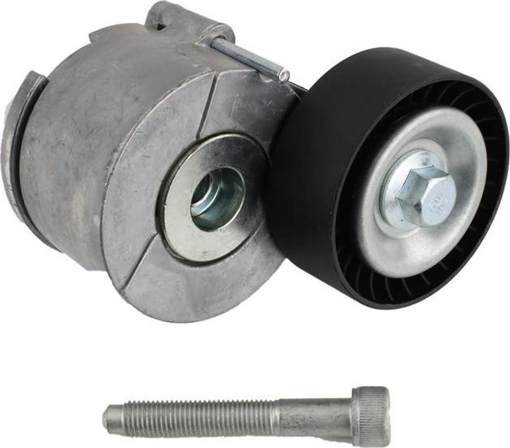FAST FT44614 Spannrolle Keilrippenriemen 65mm für FIAT Produktbild 