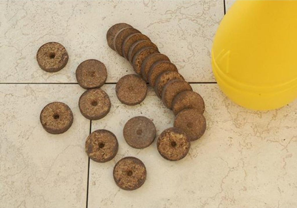 floraworld Torfquelltöpfe 20er 3,5cm