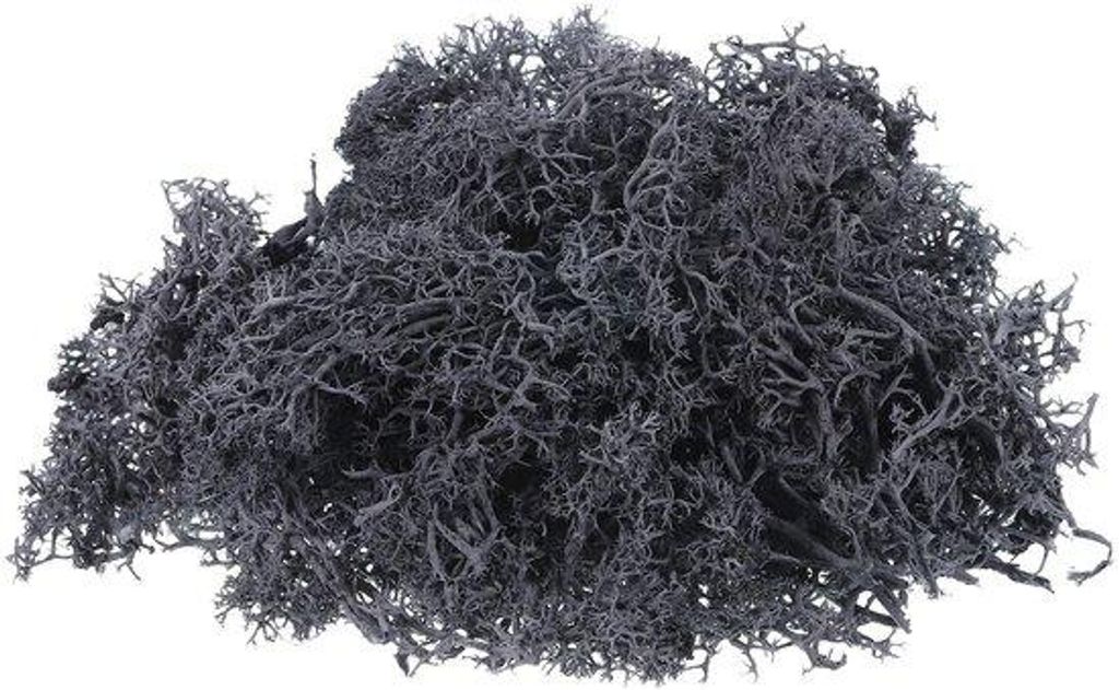 Sourcing kunstmatig geconserveerd mos 3,5 oz voor knutselkunst, bloemen, terrarium, decoratie, grijs
