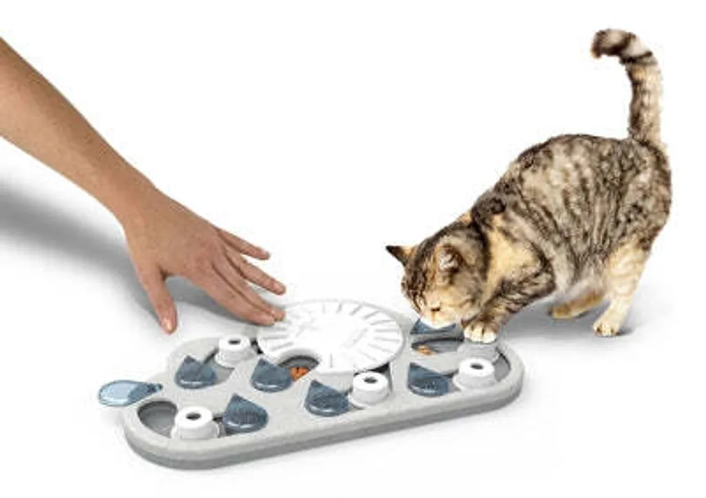 Jeu Interactif Rainy Day pour Chat - Plateau de Casse-Tête Niveau Expert