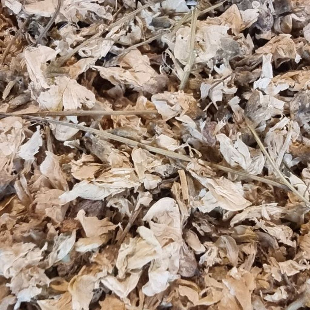 Akazienblüten falsche ganz Naturideen 100g