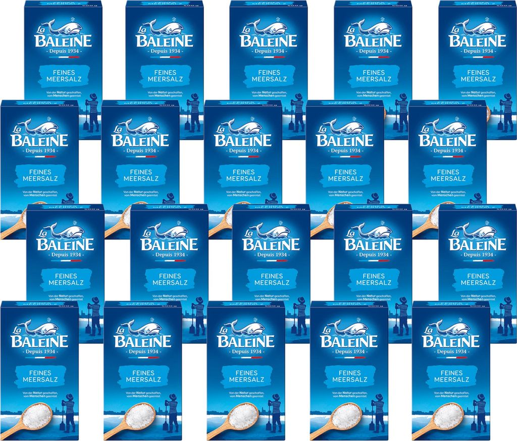 La Baleine Meersalz fein VPE (20x500g Packung) + usy Block