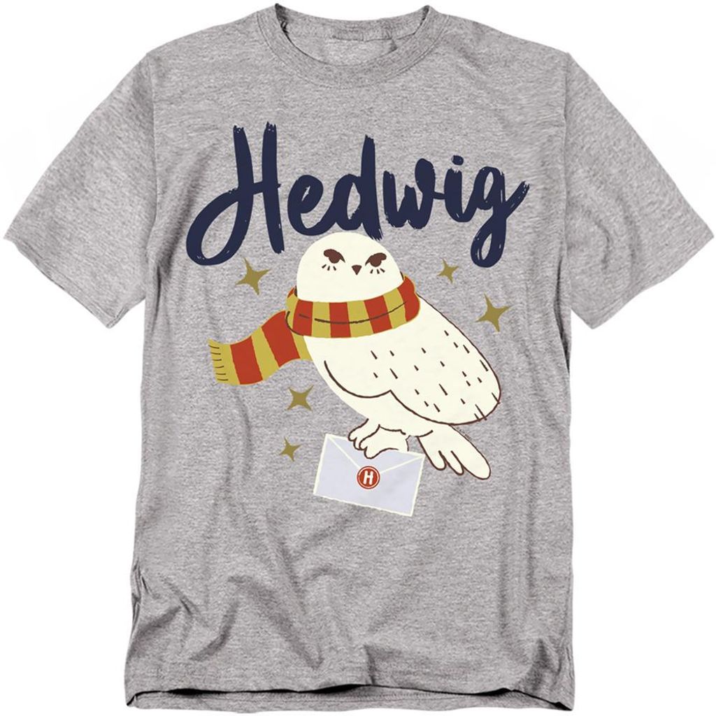 Harry Potter - "Hogwarts Brief" T-shirt voor heren/dames, Productafbeelding 
