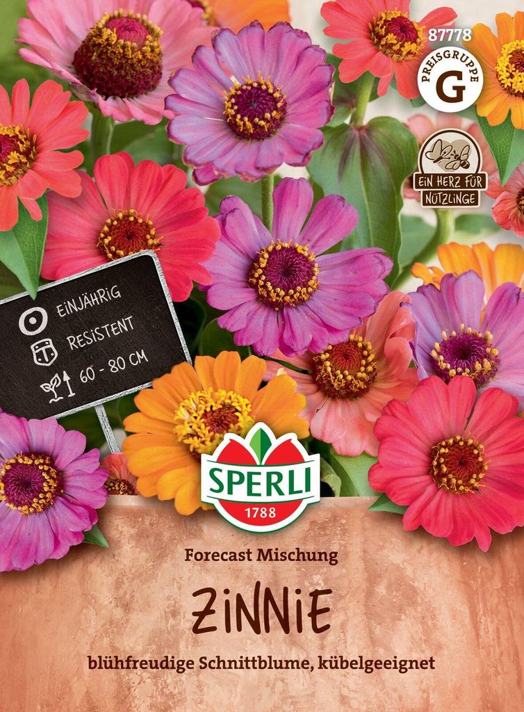 Artikelbild 2 von 'Zinnie Forecast' aus der Kategorie Zinniensamen