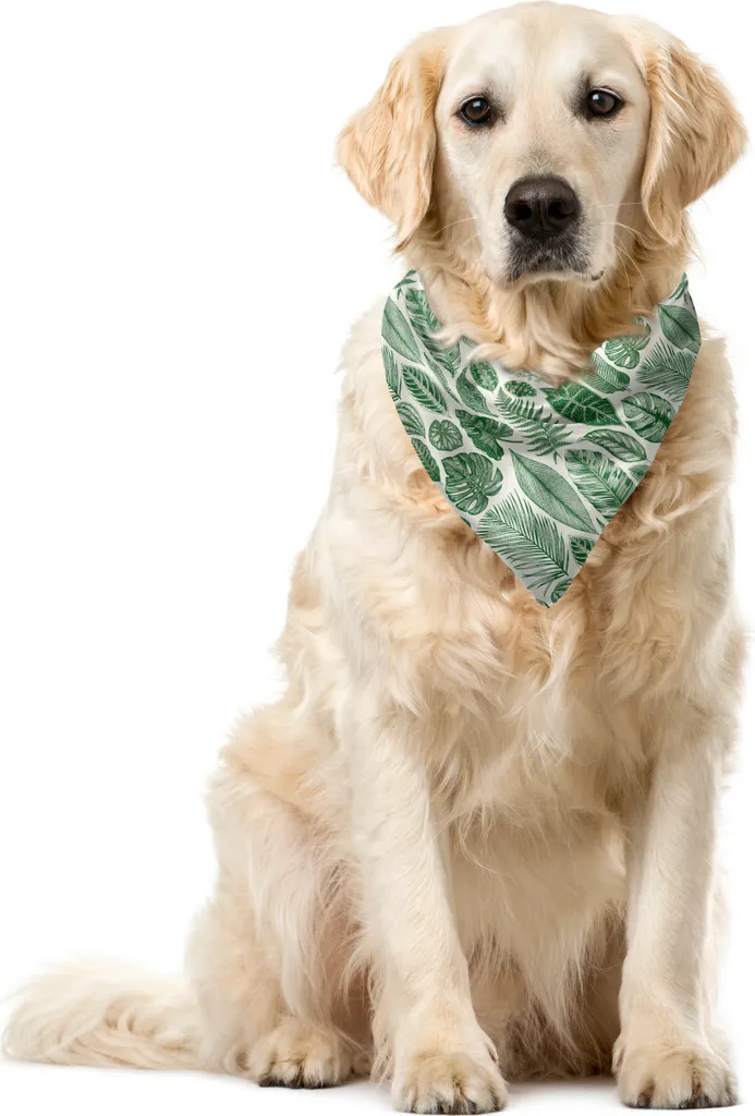 Bandana per Animali Domestici Vintage ABAKUHAUS Verde Avorio 55cm