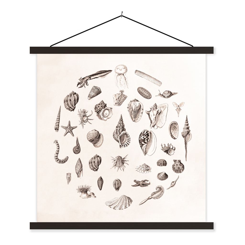 MuchoWow Textilposter Meerestiere - Muscheln - Oktopus 90x90 cm mit schwarzem Rahmen - Magnetisches