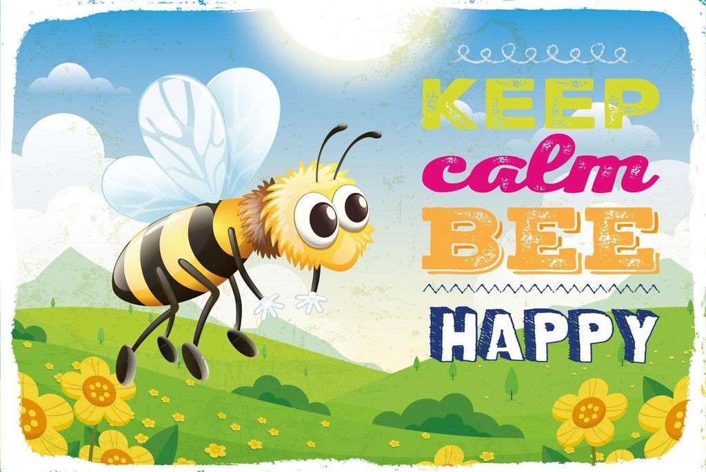 vianmo Holzschild 12x18 cm Keep calm bee happy Biene Wiese