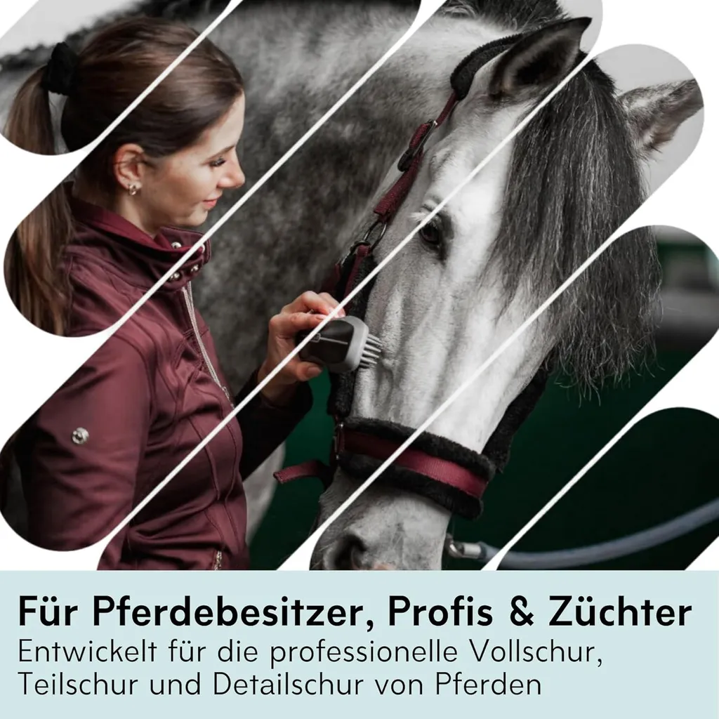 Tondeuse Wahl KM Supera pour Chevaux Difficiles avec 2 Batteries sans Fil - 6