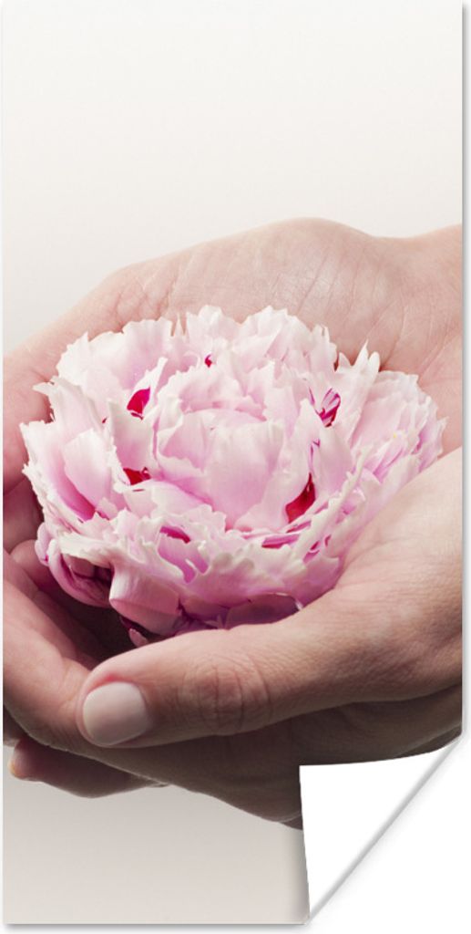 MuchoWow Poster Die Hände halten eine rosa Pfingstrose 60x120 cm - Wandschmuck