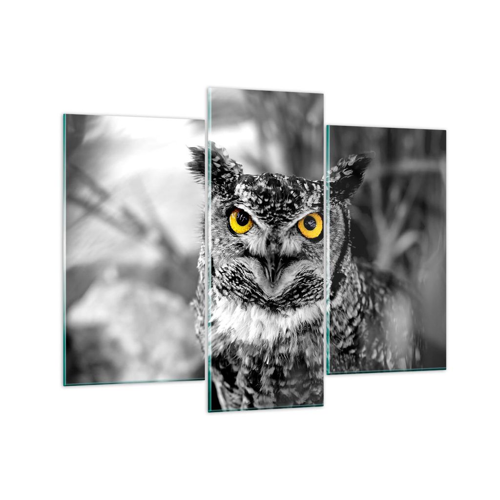Bilder auf glas - Eule Vogel Natur - 130x100cm - Glasbilder - Wandbilder - Kunstdruck - zum Aufhängen bereit - Wanddekoration aus Glas - Glas Bild...