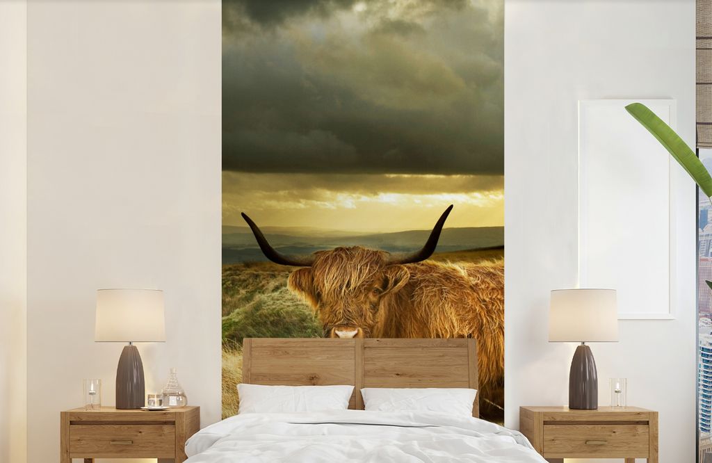 MuchoWow Fototapete für Wohnzimmer oder Schlafzimmer Wandtapete Vinyl Motivtapete Schottische Highlander - Licht - Natur - 120x240 cm - Hintergr...