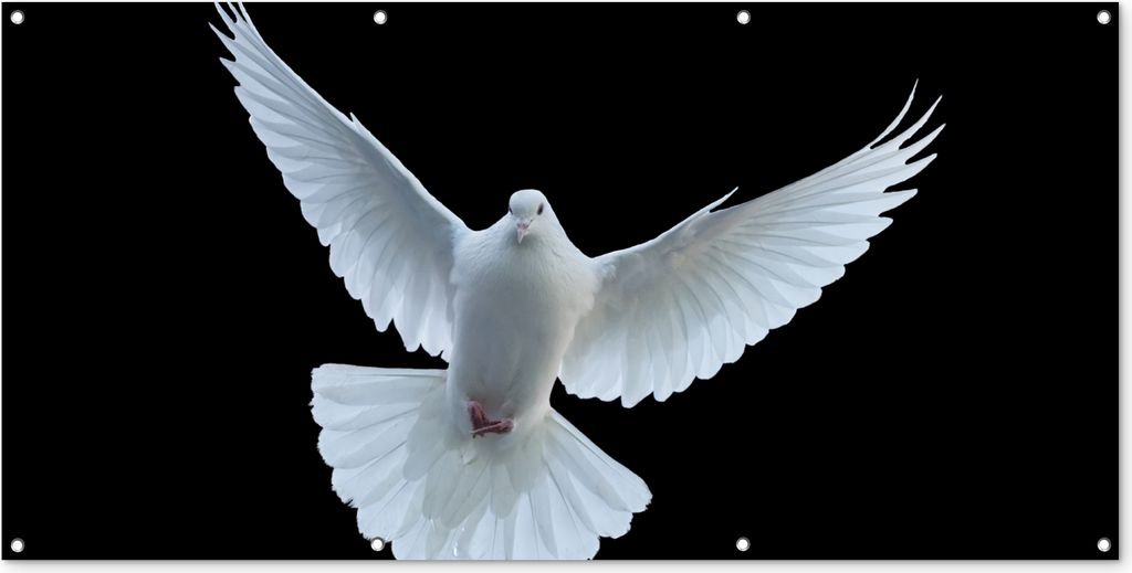 MuchoWow 160x80 cm Outdoor-Poster Gartendeko Sichtschutz Garten Poster für den Garten Taube - Vogel - Schwarz - Weiß - Porträt