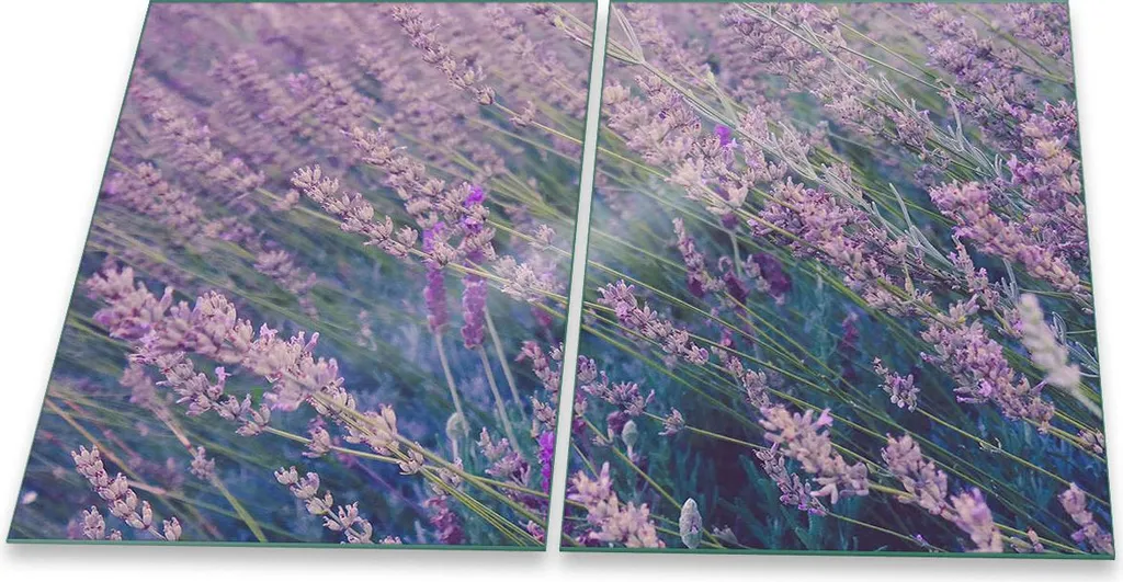 Piastra di copertura per piano cottura in ceramica 2 pezzi 2x40x52 Lavanda Viola copertura dell'alzatina