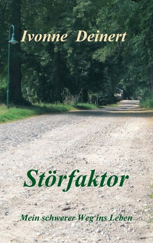 Störfaktor