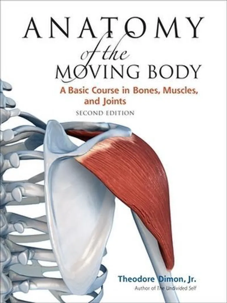 Livre Anatomie du Mouvement Édition Enrichie avec Schémas Précis