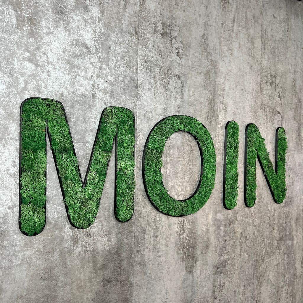 Islandmoos – Set MOIN Grasgrün Produktbild 2