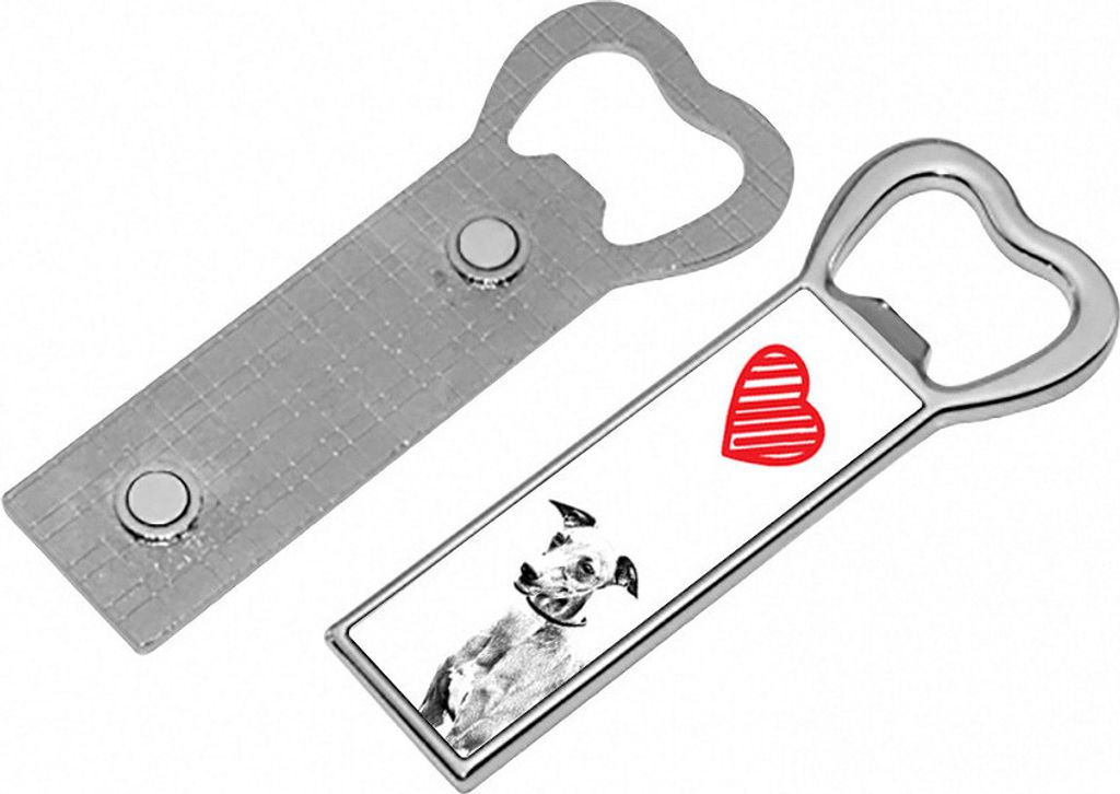 Azawakh - Flaschenöffner mit Hund, personalisierter Flaschenöffner für den Kühlschrank, ein einzigartiges Geschenk für Männer von der Marke A...