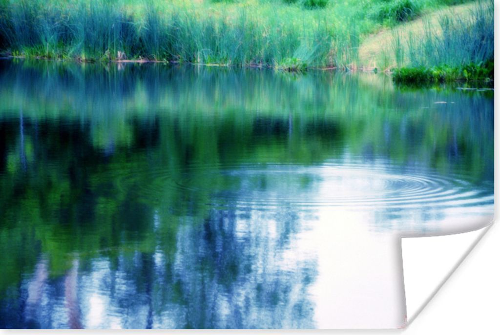 MuchoWow Poster Spiegelung im Wasser im europäischen Garten von Monet in Frankreich. 60x40 cm - Schlafzimmerdekoration