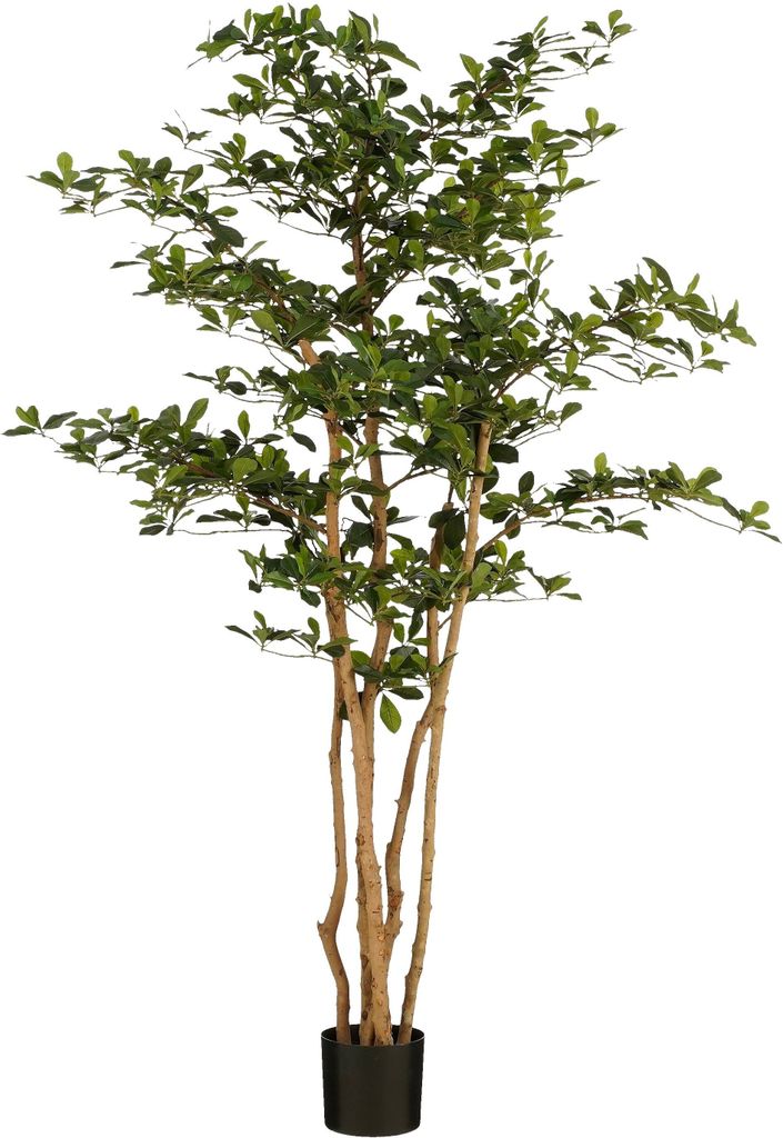 Mica Decorations Kunstpflanze Olivenbaum im Blumentopf – Produktbild 