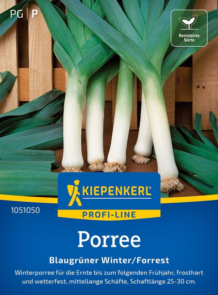 Kiepenkerl Porreesamen Blaugrüner Winter Forrest Allium porrum 130 Pflanzen