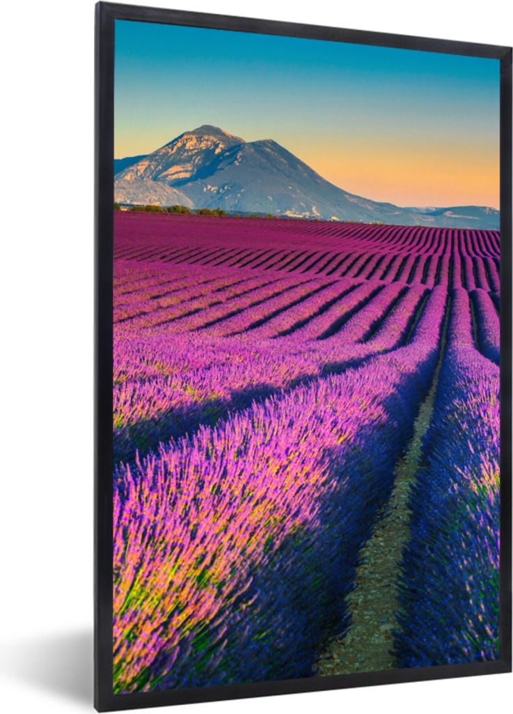 MuchoWow Gerahmtes Poster Lavendel - Berg - Blumen 20x30 cm - Poster mit Schwarzem Bilderrahmen Wandposter Rahmen Foto Bilder - Drucken - Bilder ...