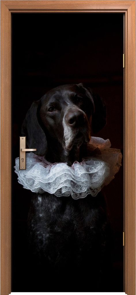 Türposter 80x200 cm Türaufkleber Türtapete Türfolie Klebefolie Kunst Tiere Hund Haustier