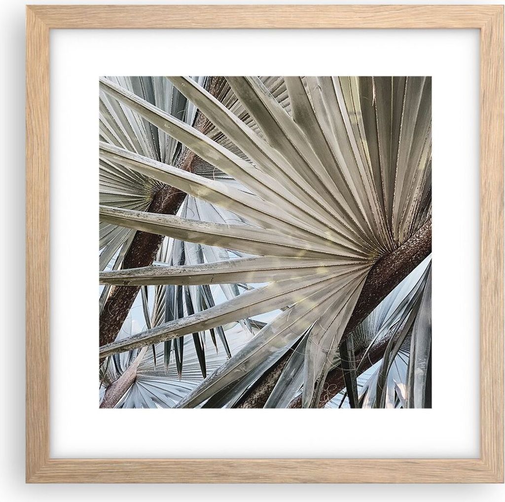 Gerahmtes Poster - Rahmen in heller Eiche - Blatt Palme Natur - 30x30 cm - Wand Bild - Wanddeko - Wandbilder - Kunstposter - Wandposter - Bilderrah...
