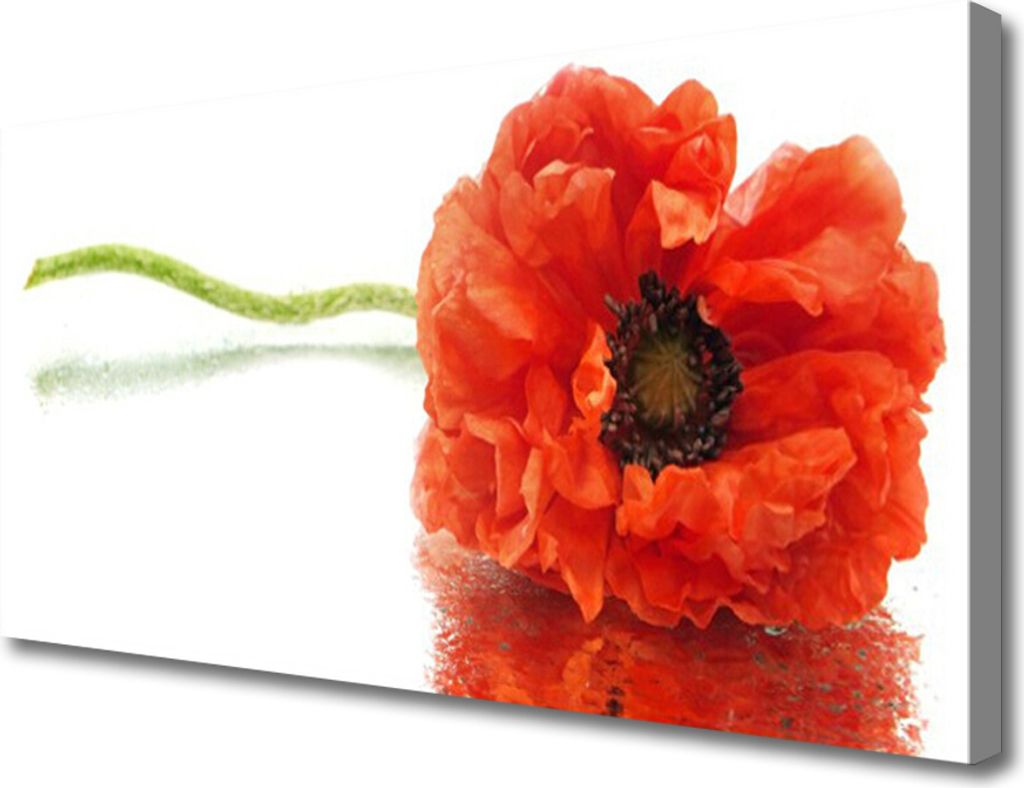 Tulup Leinwand-Bilder 100x50 Wandbild Canvas Kunstdruck Produktbild 