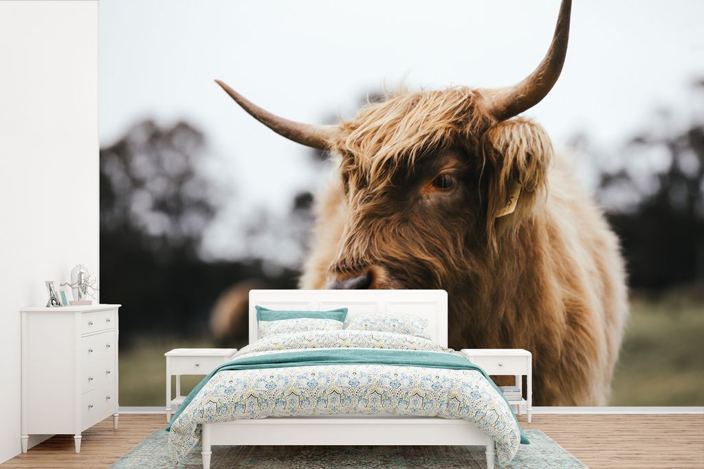 MuchoWow Fototapete für Wohnzimmer oder Schlafzimmer Wandtapete Vinyl Motivtapete Schottischer Highlander - Tiere - Hörner - 390x260 cm - Papie...