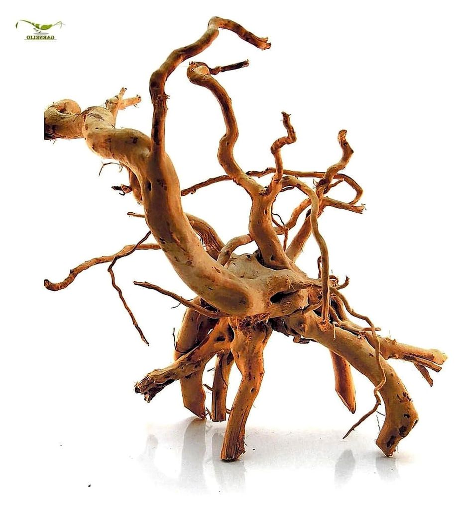Spiderwood - Größe L - 50-70 cm