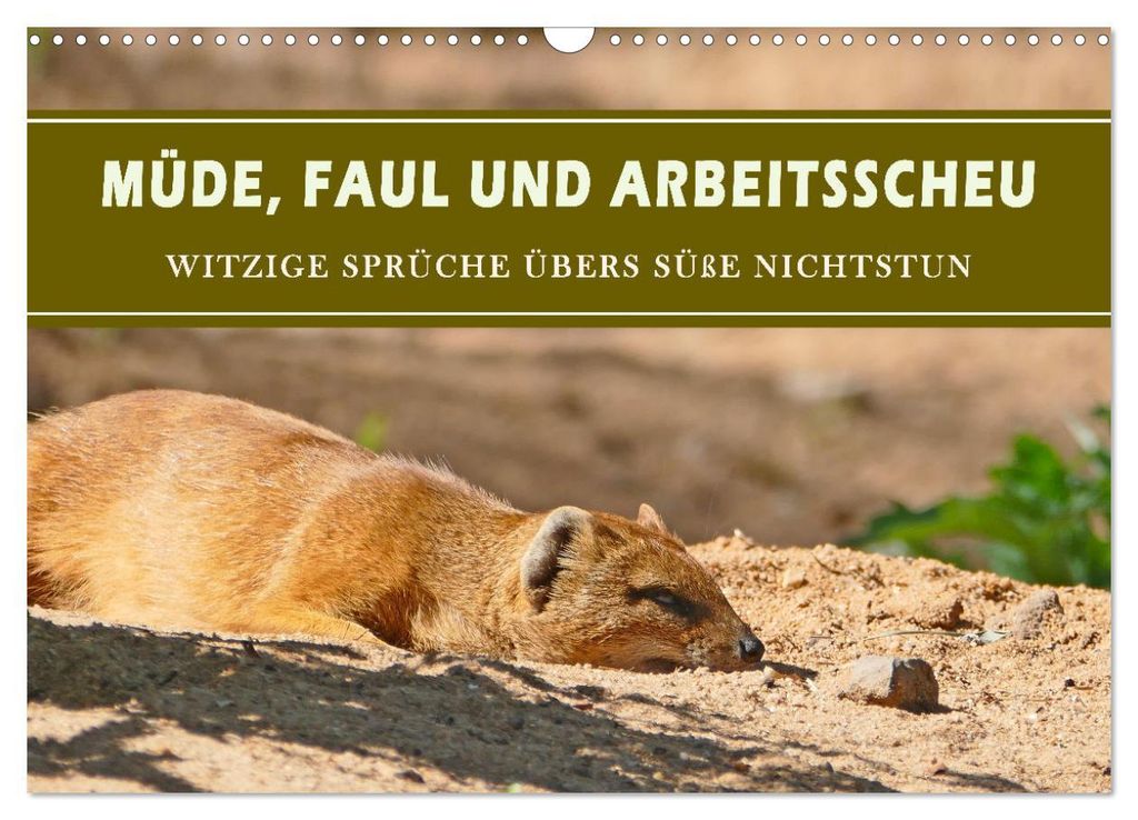 Müde, faul und arbeitsscheu (Wandkalender 2027 DIN A3 quer), CALVENDO Monatskalender