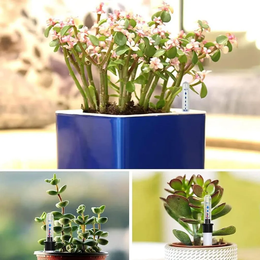 Set de 3 indicateurs de niveau d'eau 36cm pour plantes d'intérieur