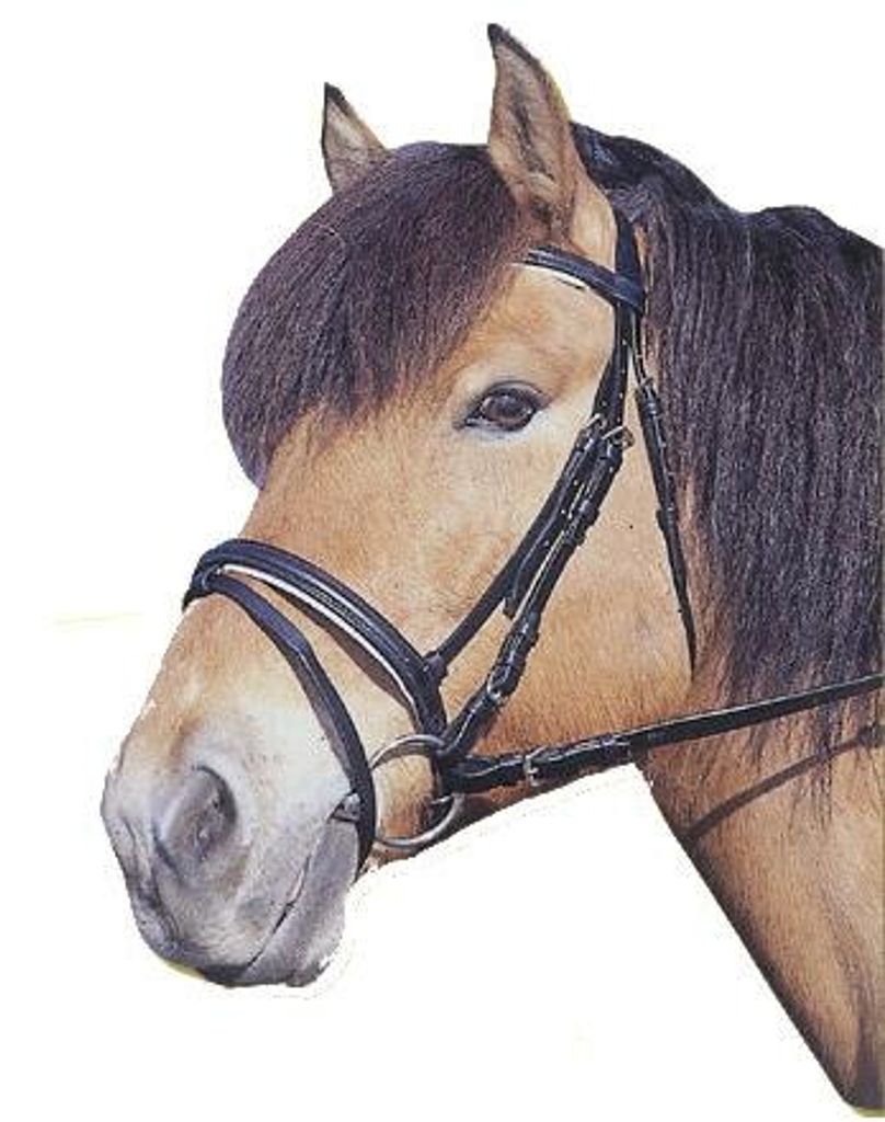 Covalliero Hoofdstel Standard Zwart Full Productafbeelding 