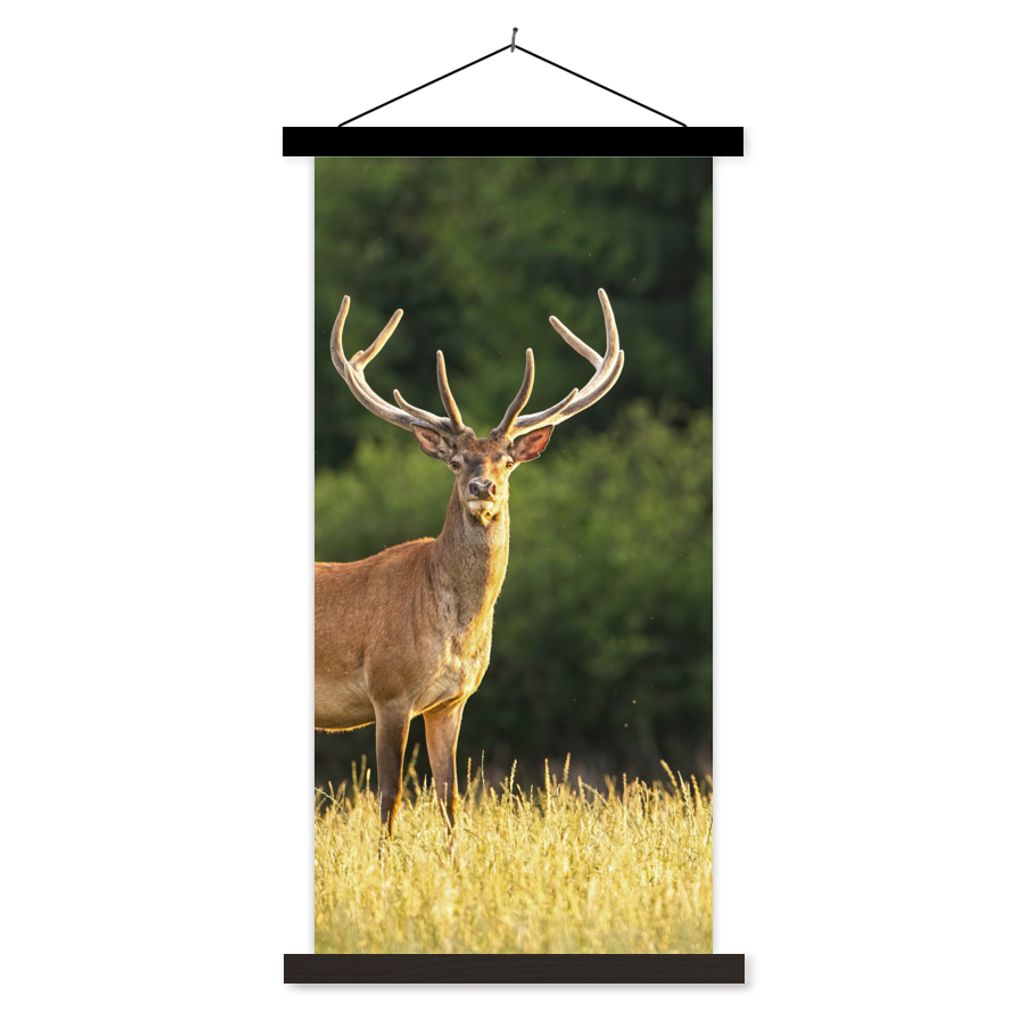 MuchoWow Textilposter Hirsch - Geweih - Gras - Natur - Tiere - Grün 40x80 cm mit schwarzem Rahmen - Wandemalerei