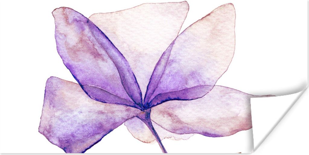 MuchoWow Poster Blumen - Aquarell - Lila 150x75 cm - ohne Rahmen