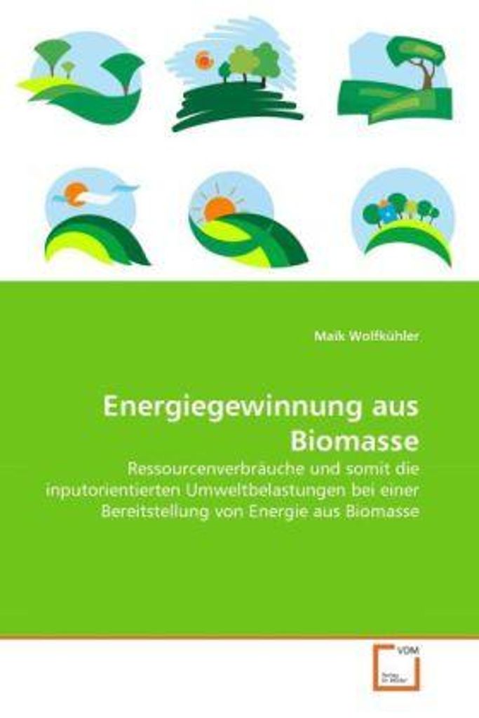 Wolfkühler, M: Energiegewinnung aus Biomasse