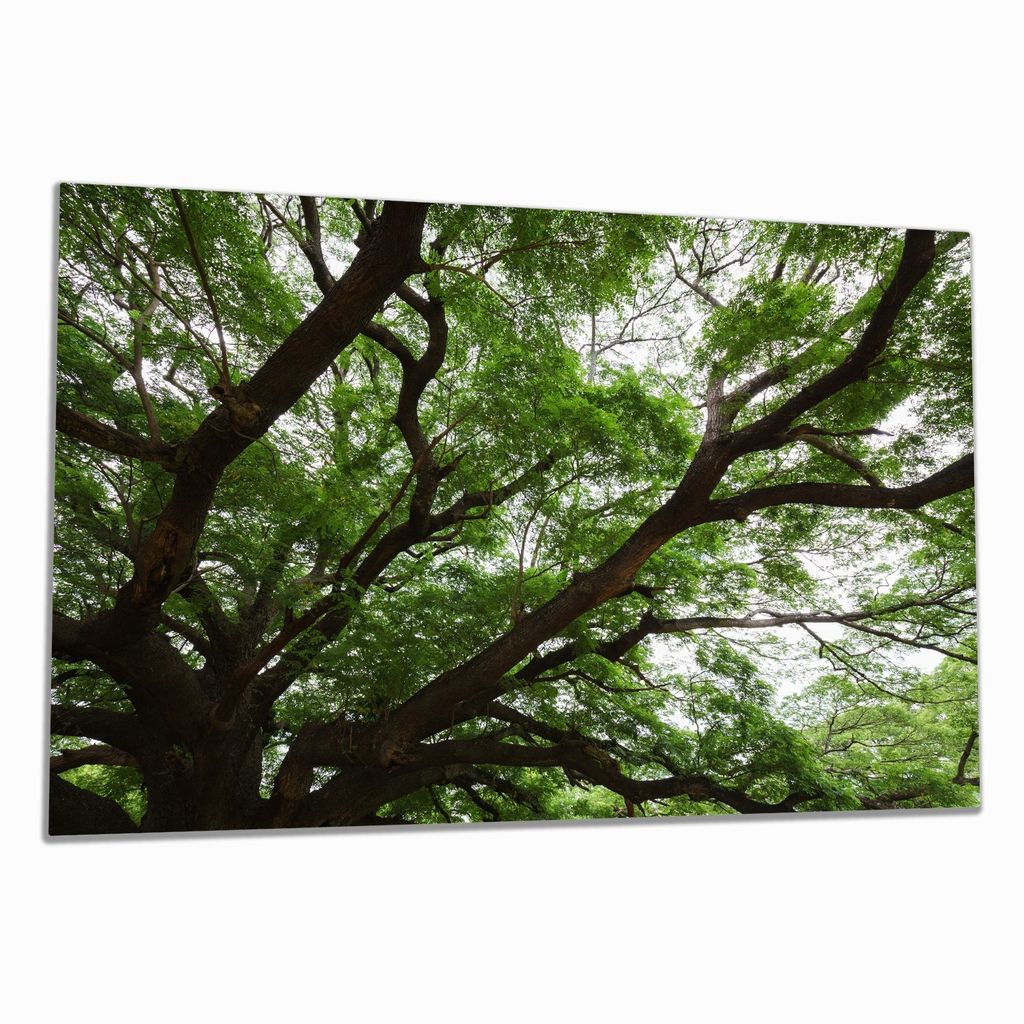 Wallario Herdabdeckplatte aus Glas, Größe 80 x 52 cm Produktbild 