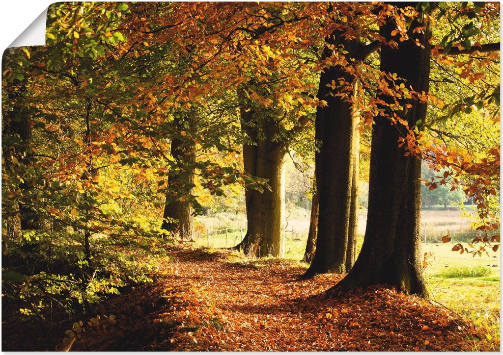 ARTland Poster Herbstfarben Größe: 70x50 cm