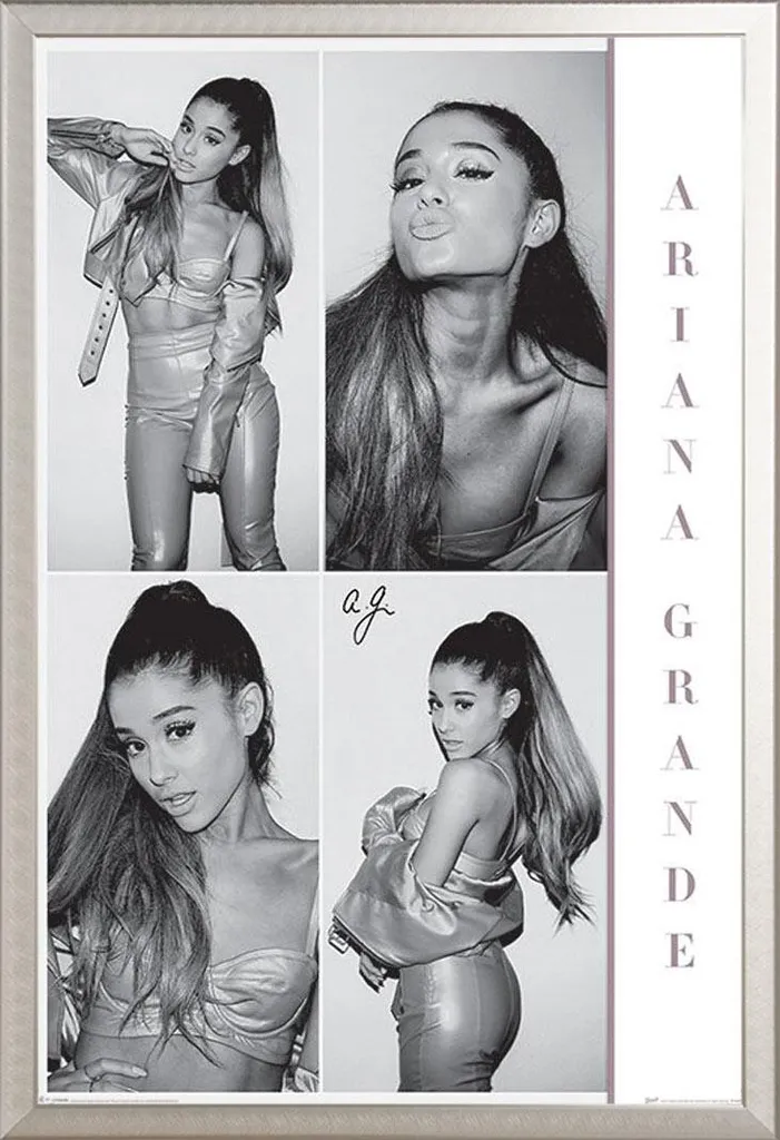 Décoration Murale Ariana Grande Format XXL Cadre Aluminium Argenté Pro