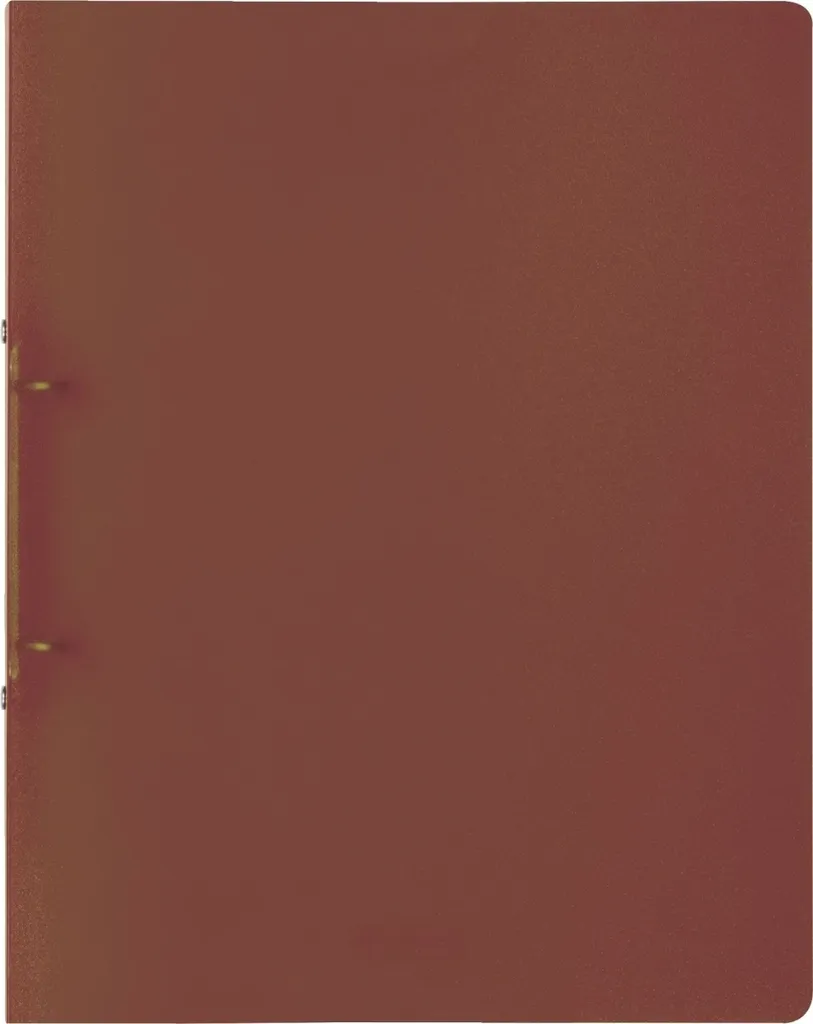 Classeur Brunnen 106550579 2R A4 25mm, Carton solide, Marron