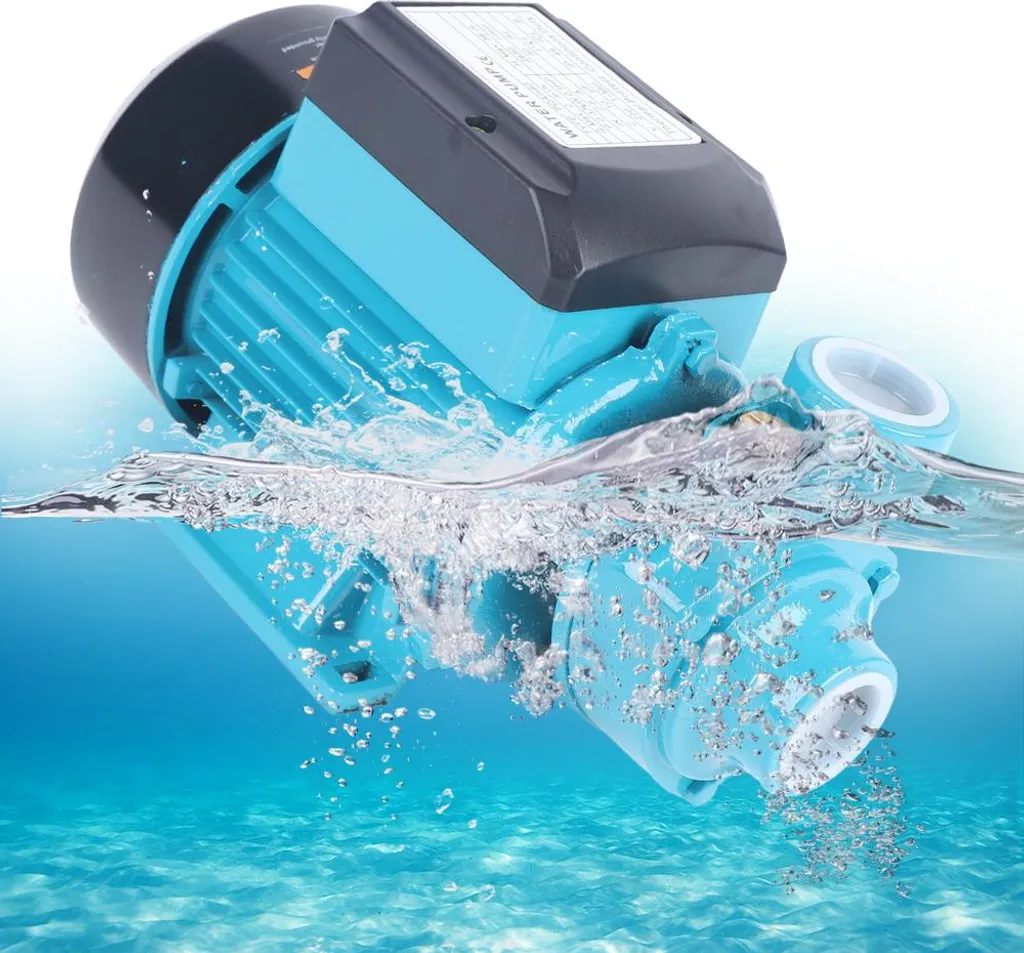 Pompe à eau 370W 220V avec conception à tourbillon efficace débit stable