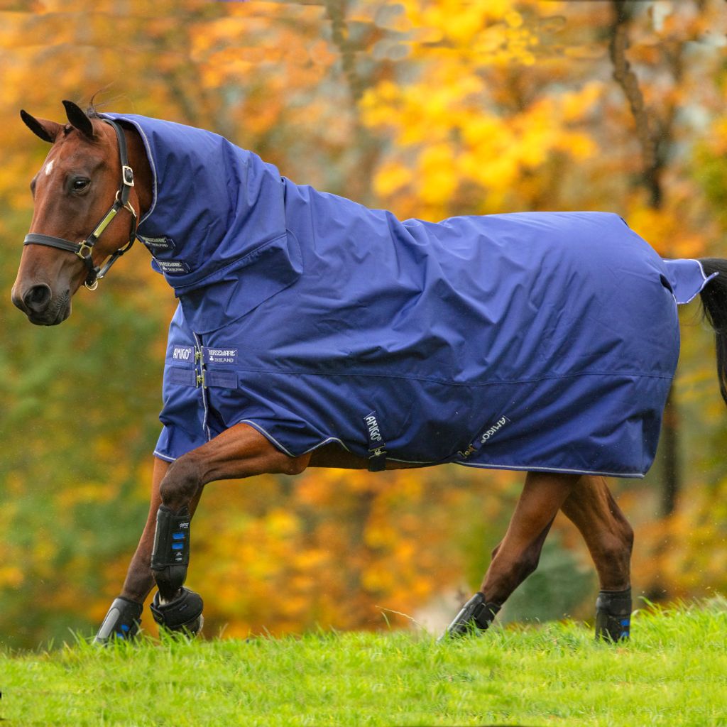 Horseware Amigo Hero 900D All-in-One Turnout Medium 200g - Atlantic Blue/Ivory, 115