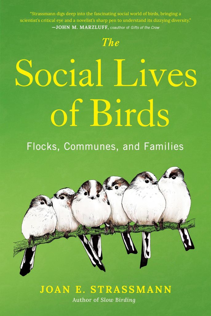 The Social Lives of Birds