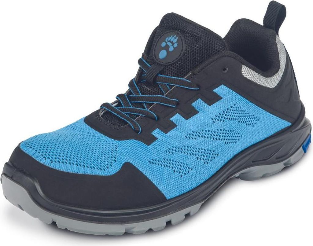 Cerva Energy S1PL FO SR low blue 49