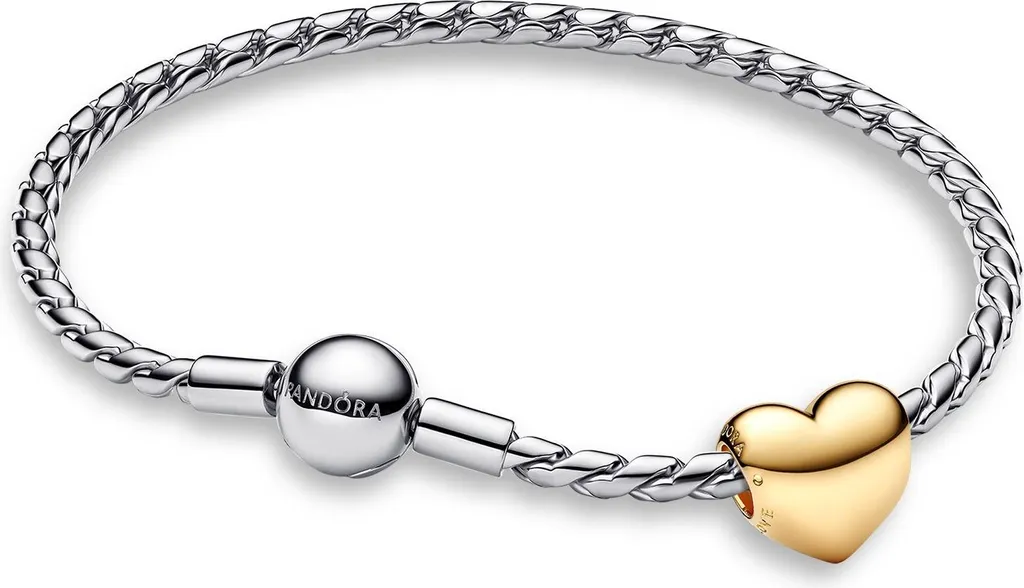 Bracelet Pandora femme kit de départ idéal pour collectionner vos charms