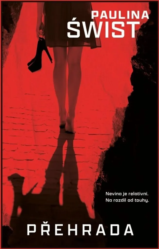 Roman à suspense Přehrada Paulina Świst pour éviter l'ennui