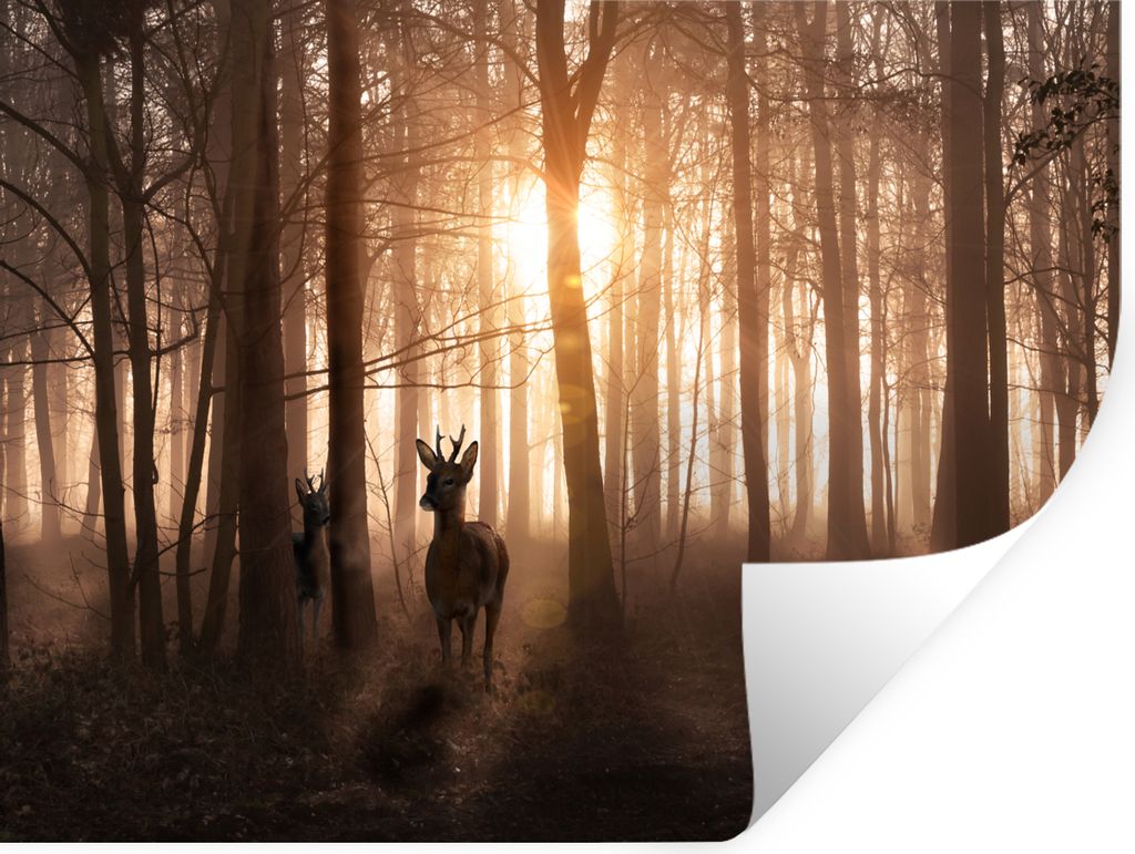 MuchoWow Wandtattoo Wandsticker Wandaufkleber Wald - Hirsche - Sonne - Bäume - Winter - Natur - Tiere 160x120 cm Selbstklebend und Repositionier...