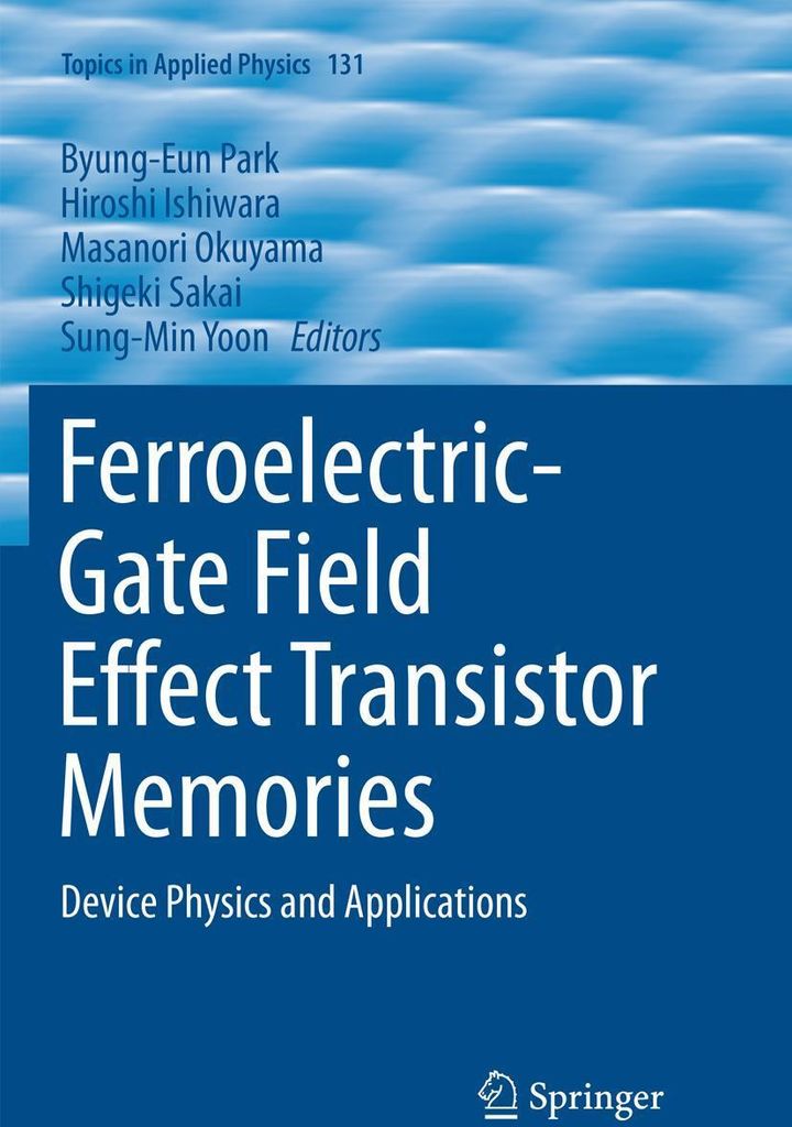 Ferroelectric-Gate Field Effect Transistor Memories