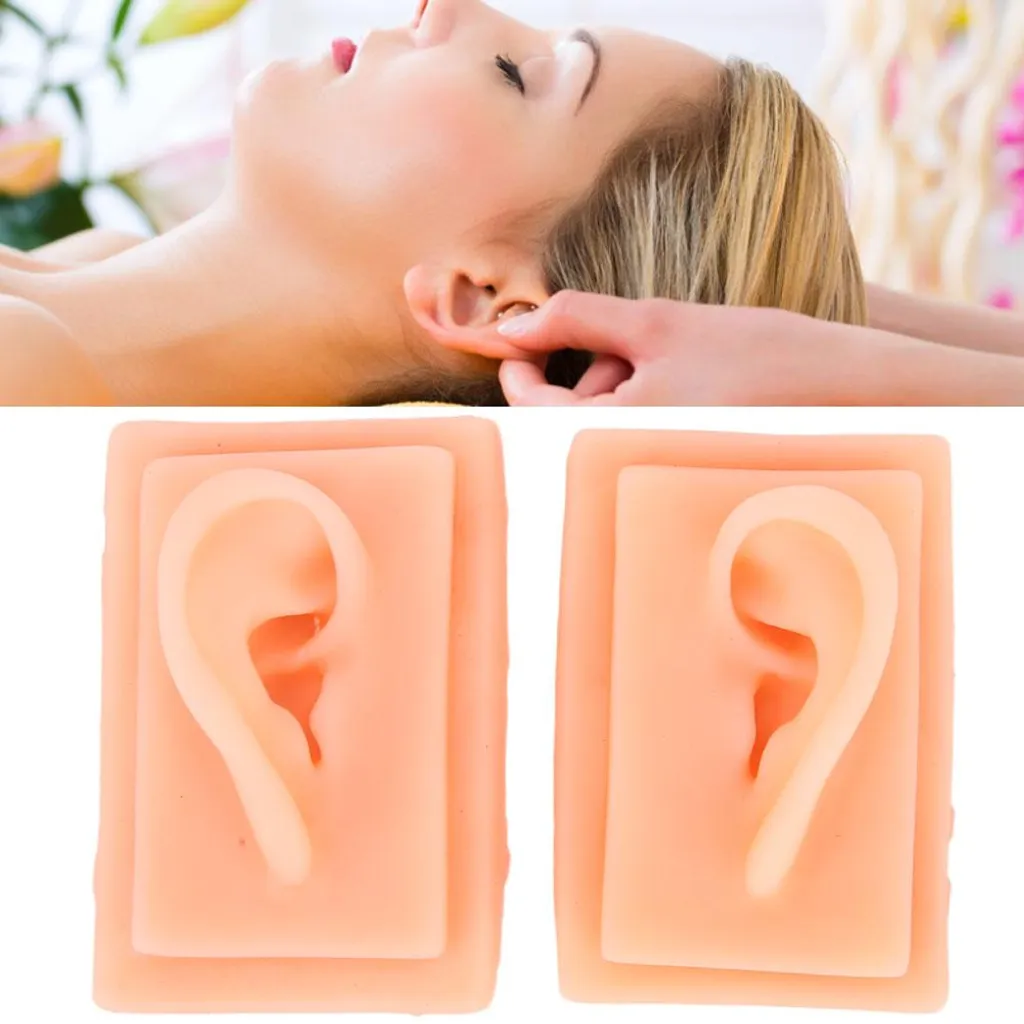 Oreille d'apprentissage en silicone pour exercices d'acupuncture 1:1